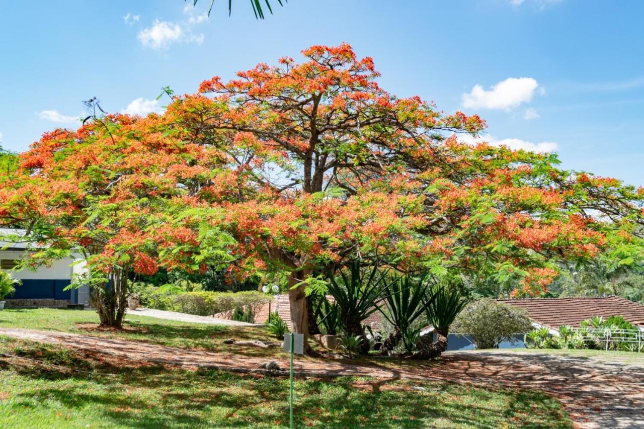 Villa Do Sossego Pousada Lindóia 외부 사진